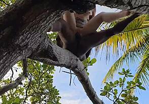 Wild anal sex on a stump