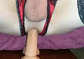 Gay cock and dildo love