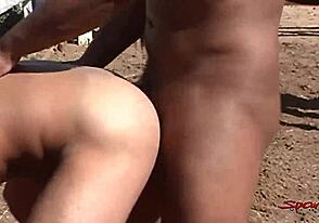 Interracial couple's passionate stable tryst