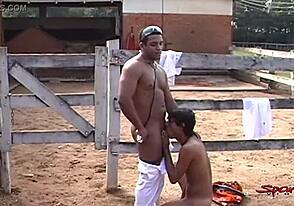 Interracial couple's passionate stable tryst